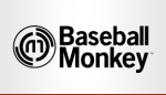 Baseball monkey