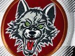 Chicago Wolves Store