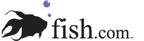 Fish.com