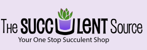 The Succulent Source