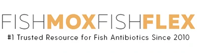 FishMoxFishFlex