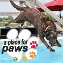 A Place for Paws