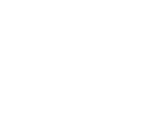 Birdies Mini Golf
