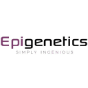 Epigenetics