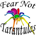 Fear Not Tarantulas