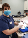 north penn animal hospital