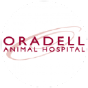 Oradell