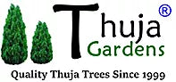 Thuja Gardens