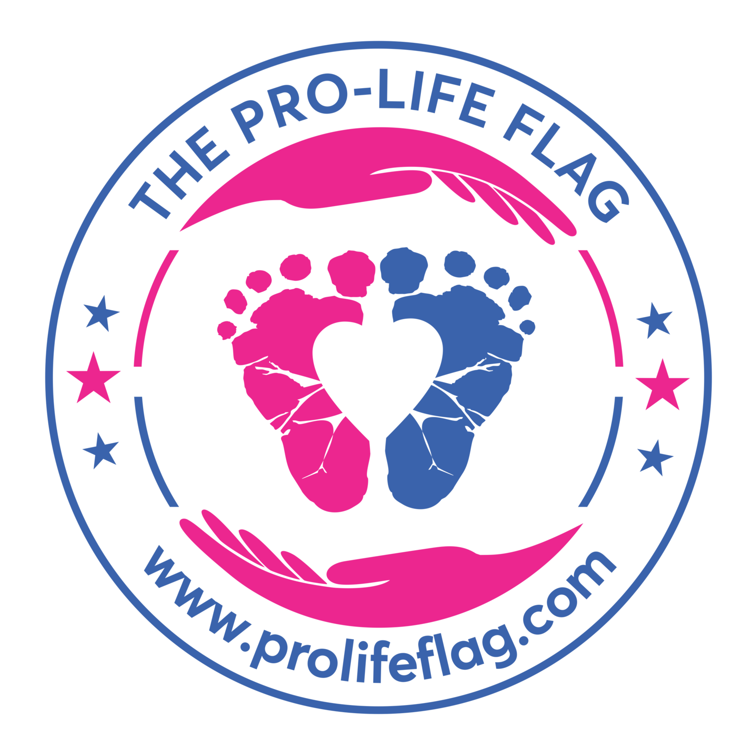 Pro Life Flag