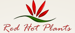 Red Hot Plants