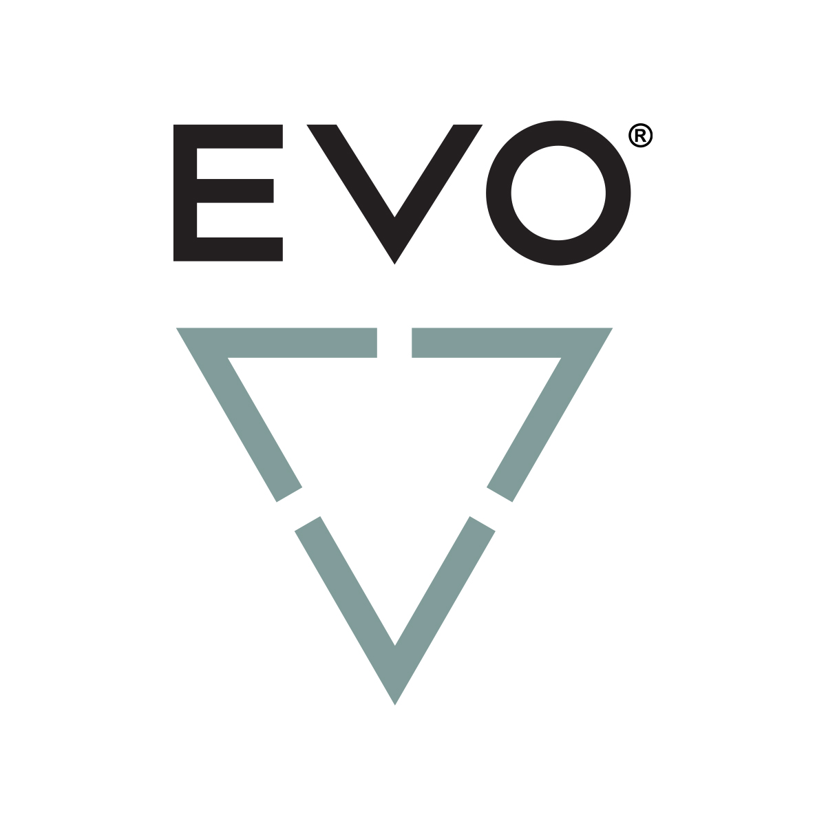 Evo Gear