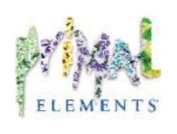 Primal Elements