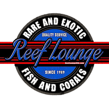 ReefloungeUSA