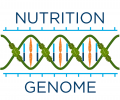 Nutrition Genome