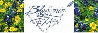 BLOOMIN ACROSS TEXAS