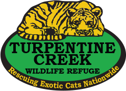 Turpentine Creek Wildlife Refuge