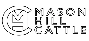 Mason Hill Cattle