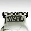 Wahl