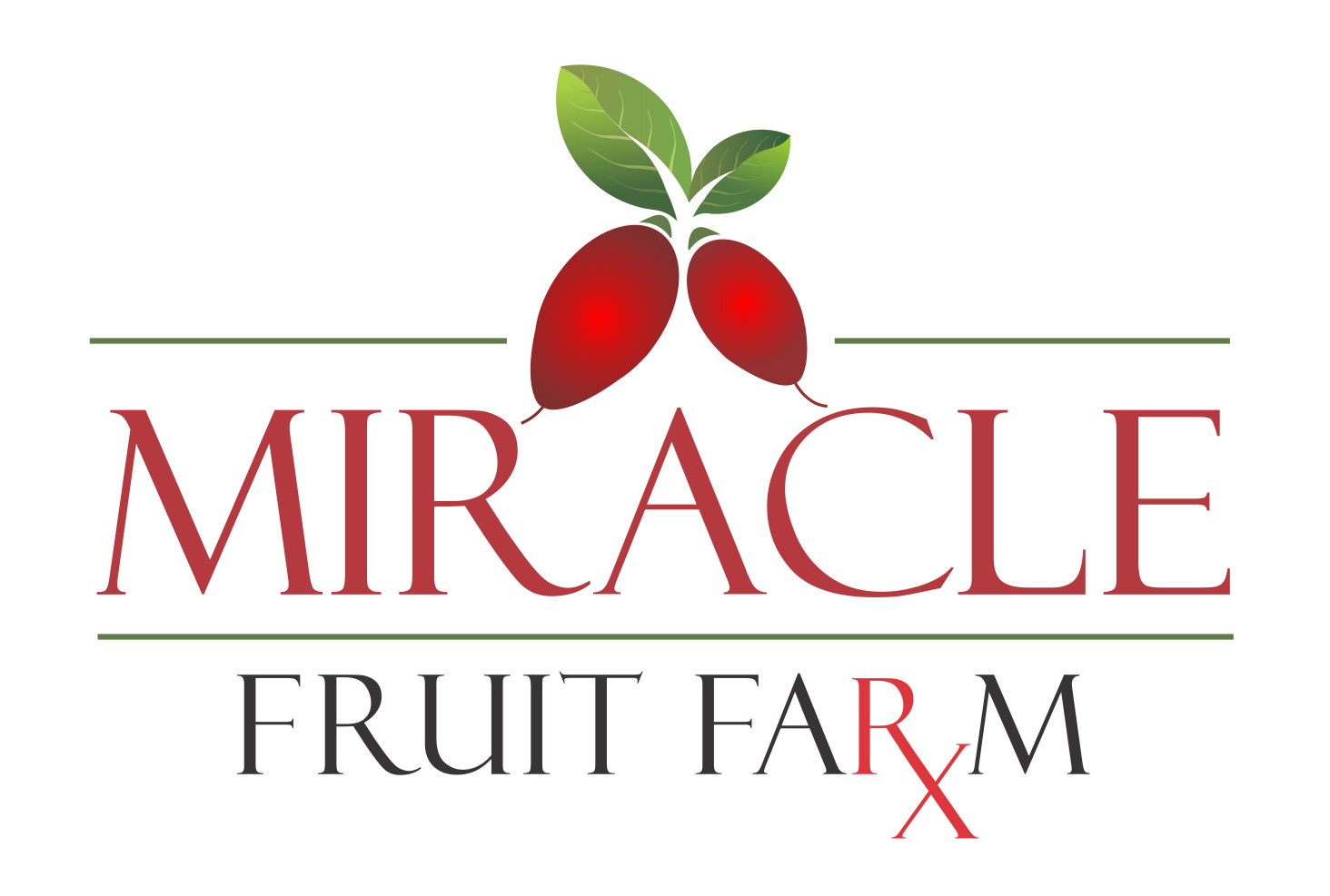 Miracle Fruit Farm