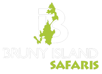 Bruny Island Safaris