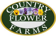Country Flower Farms