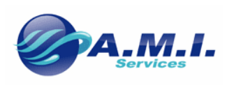 AMI Services