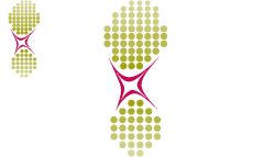 Nxtmile