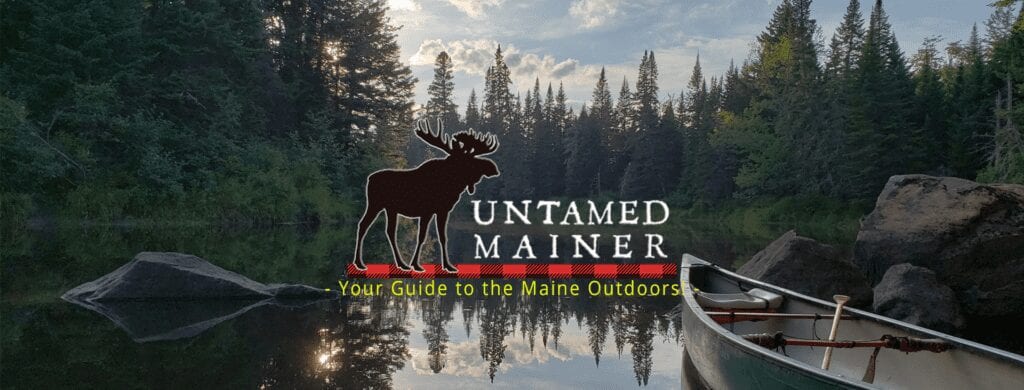 Untamed Mainer