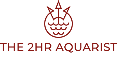 2Hr Aquarist