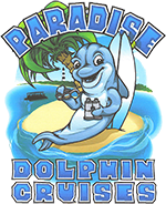 Paradise Dolphin Cruises