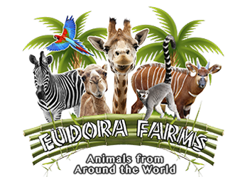 Eudora Farms