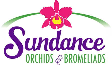 Sundance Orchids