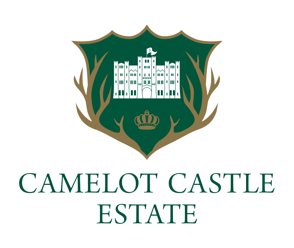 Camelot Castle