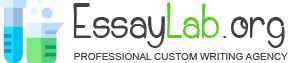 Essaylab