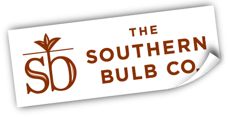 Southern Bulb Company