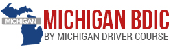 Michigan Driver Course