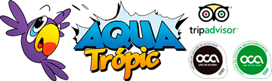 Aqua Tropic