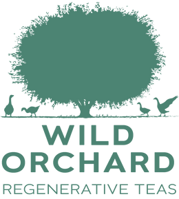 Wild Orchard