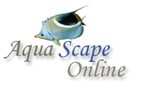 AquaScapeOnline