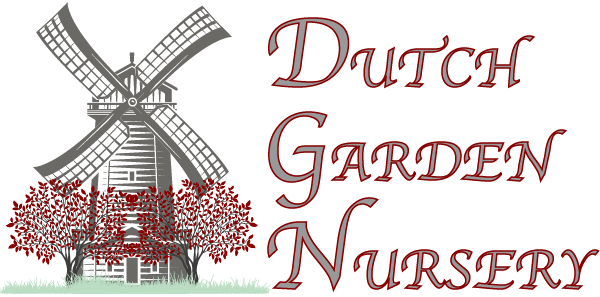 Dutch Garden