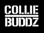 Collie Buddz