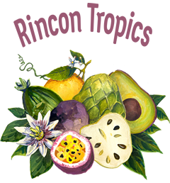 Rincon Tropics