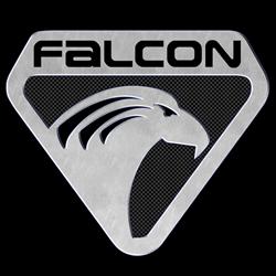 Falcon Computers