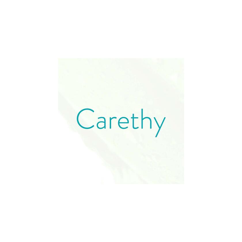Carethy Reviews