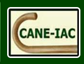 CANE-IAC