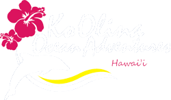 Ko Olina Ocean Adventures