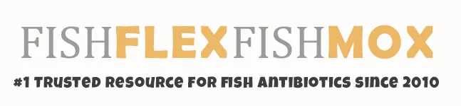 FishFlexFishMox