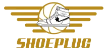 Shoeplug