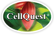 CellQuest