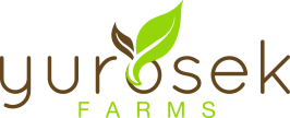 Yurosek Farms